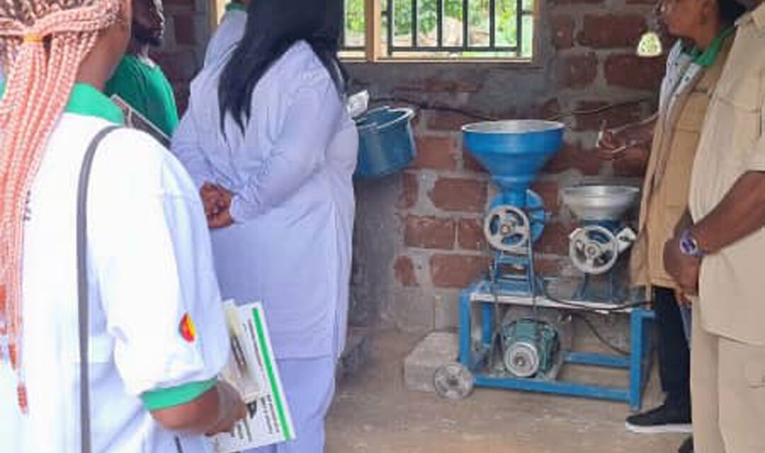 Construction d’une micro unité de transformation de manioc