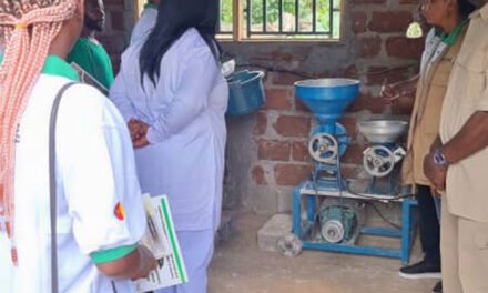 Construction d’une micro unité de transformation de manioc