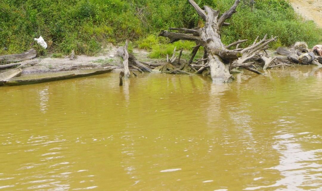 ALERTE GABON – ENVIRONNEMENT – POLLUTION TRANSFRONTALIERE