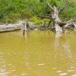 ALERTE GABON – ENVIRONNEMENT – POLLUTION TRANSFRONTALIERE