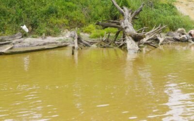 ALERTE GABON – ENVIRONNEMENT – POLLUTION TRANSFRONTALIERE