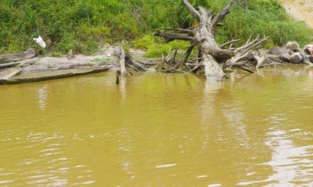 ALERTE GABON – ENVIRONNEMENT – POLLUTION TRANSFRONTALIERE
