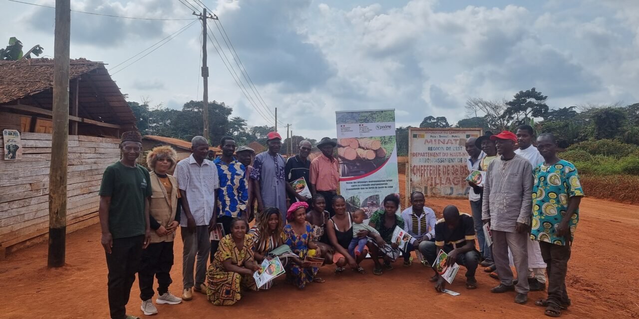 RESEAU DE DEFENSEURS ENVIRONNEMENTAUX LUTTANT CONTRE LA CRIMINALITE ENVIRONNEMENTALE TRANSNATIONALE DANS LES FORETS DU BASSIN DU CONGO