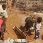 L&rsquo;OR INVISIBLE DU CAMEROUN