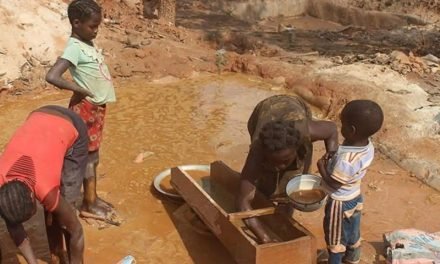 L&rsquo;OR INVISIBLE DU CAMEROUN