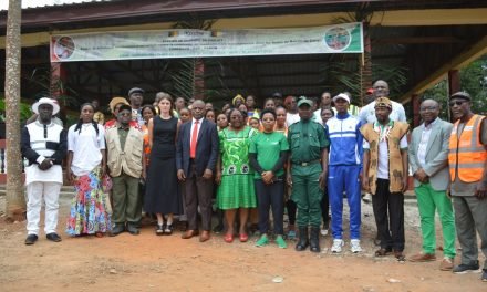 Clôturer un projet sur la criminalité forestière… au cœur même de la forêt.